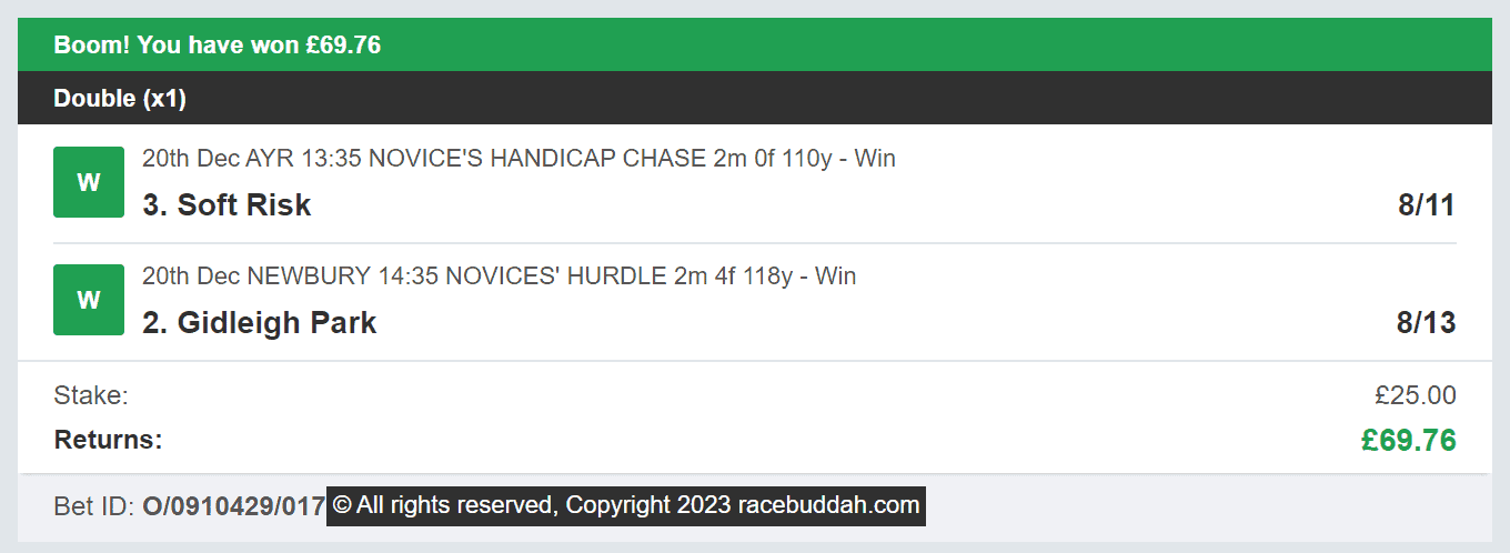 Race Buddah - Winner - Multi - 2023-12-20
