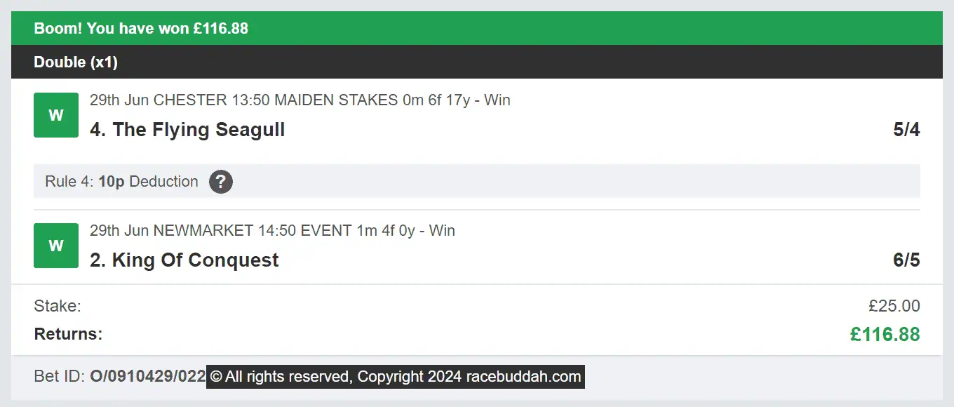 Race Buddah - Winner - Multi - 2024-06-29