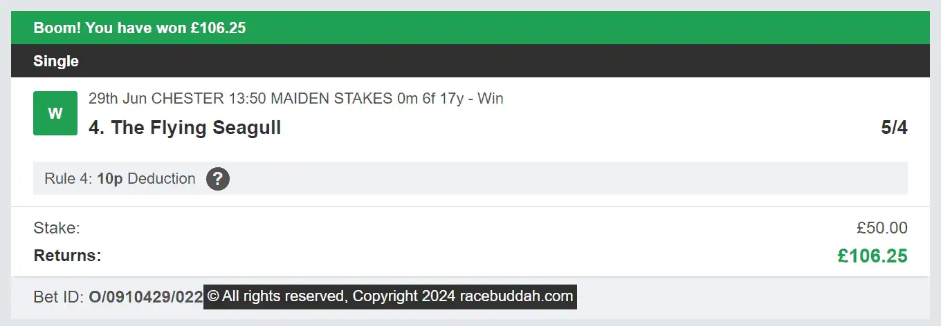 Race Buddah - Winner - 1 - 2024-06-29