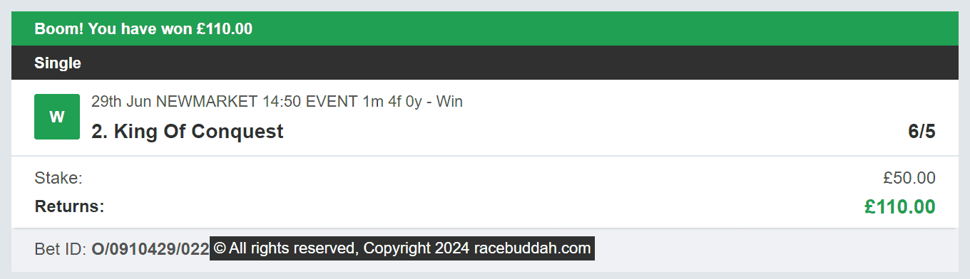 Race Buddah - Winner - 2 - 2024-06-29