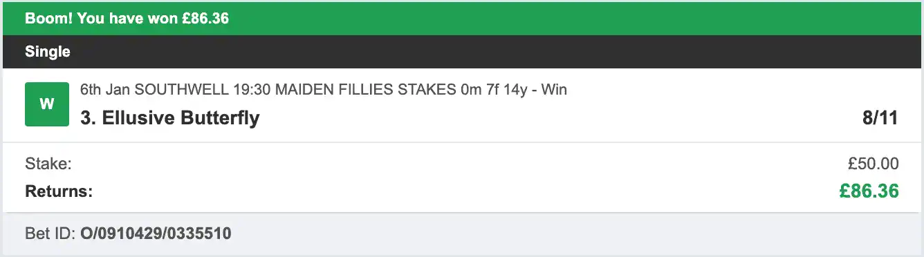 Race Buddah - Winner - 2 - 2026-01-06